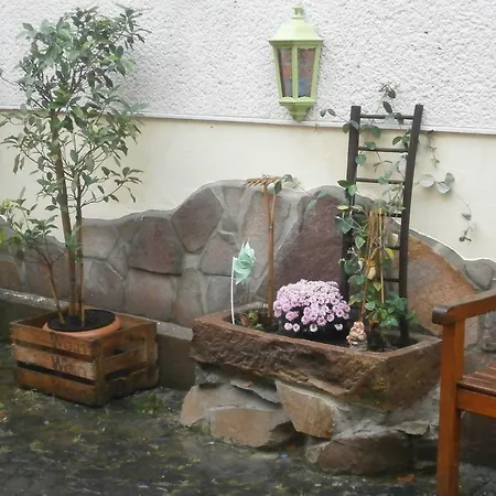 게스트하우스 Miesfeller Hopp Mensfelden